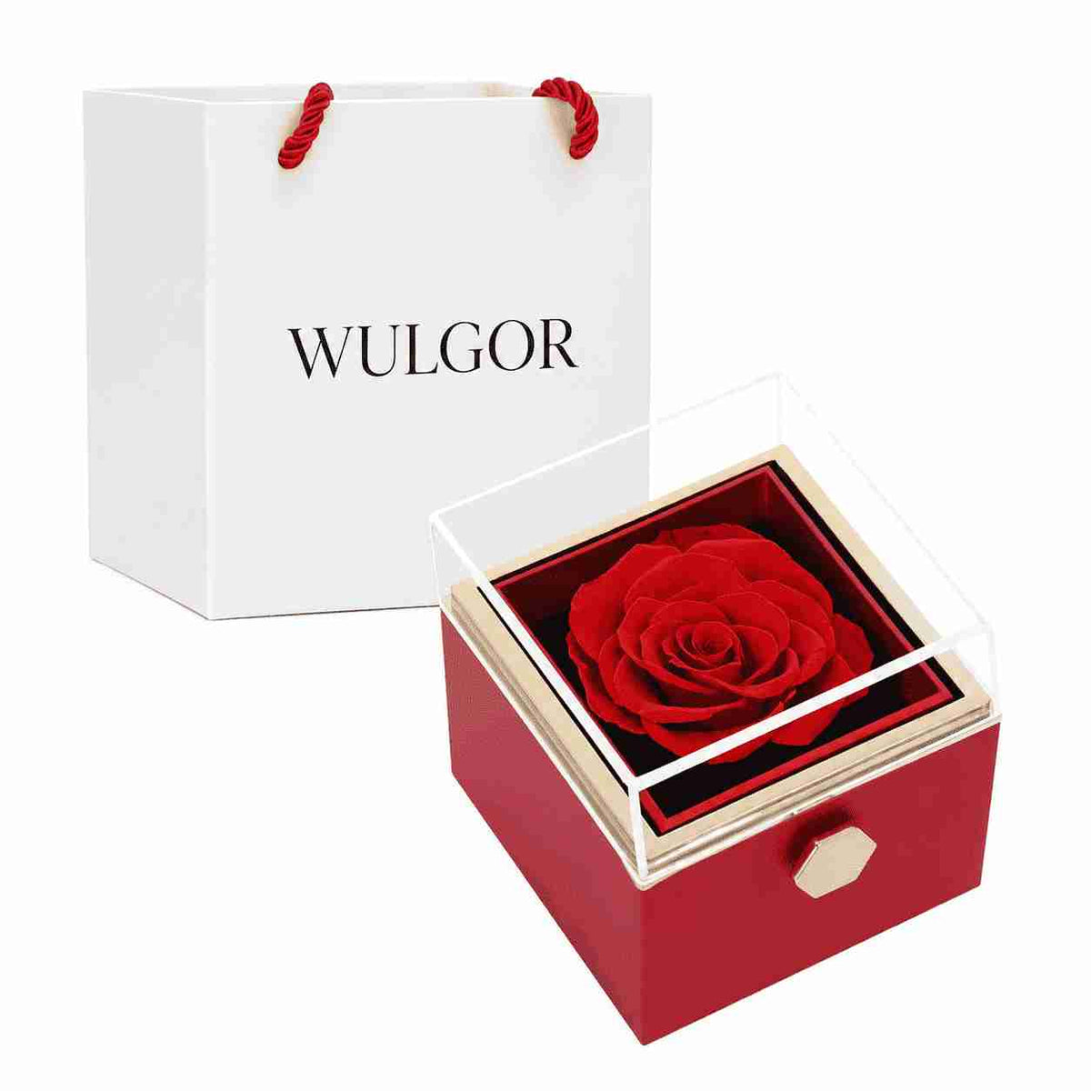 Colar Duplo Coração com Rosa Eterna